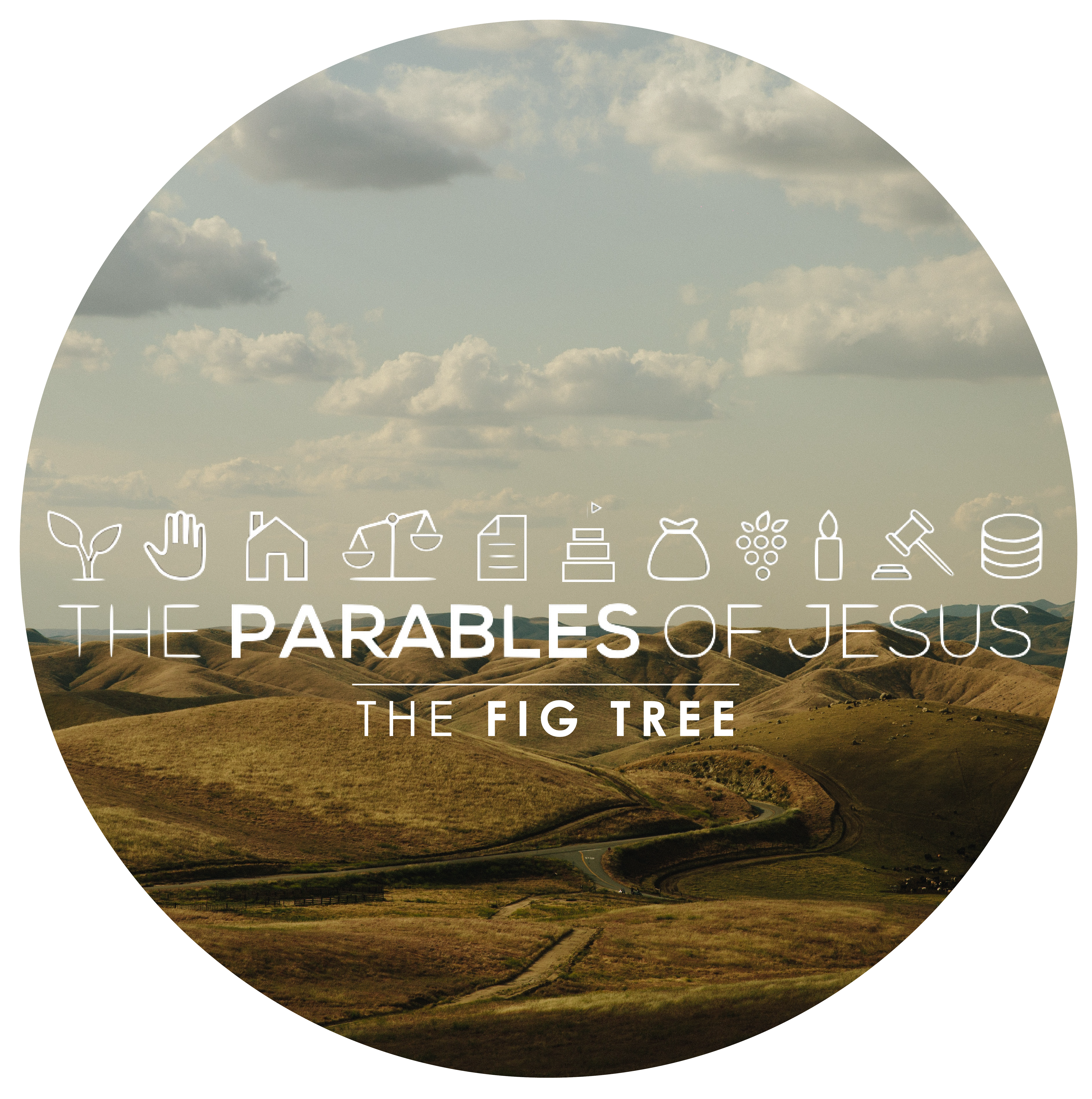 Parables Week 10: The Fig Tree